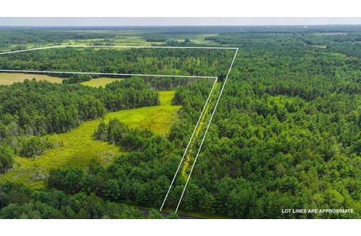 81 ACRES Birch Drive, Mosinee, WI 54455