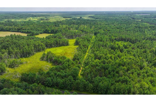 81 ACRES Birch Drive, Mosinee, WI 54455