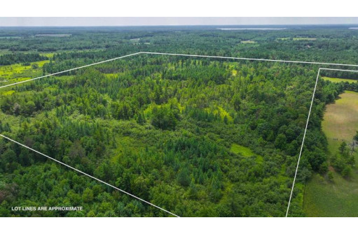 81 ACRES Birch Drive, Mosinee, WI 54455