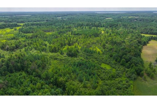 81 ACRES Birch Drive, Mosinee, WI 54455