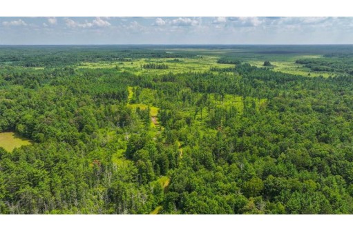 81 ACRES Birch Drive, Mosinee, WI 54455