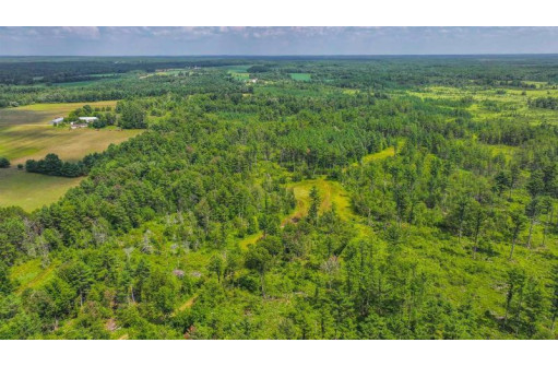 81 ACRES Birch Drive, Mosinee, WI 54455