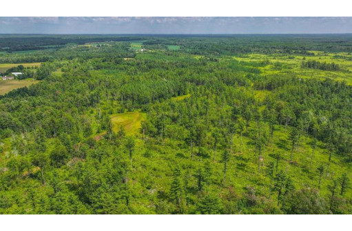 81 ACRES Birch Drive, Mosinee, WI 54455