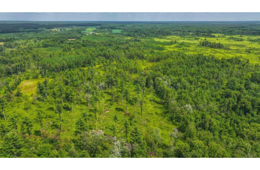 81 ACRES Birch Drive, Mosinee, WI 54455