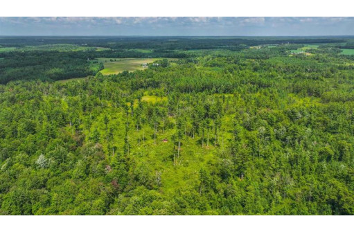 81 ACRES Birch Drive, Mosinee, WI 54455