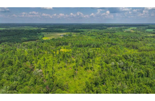 81 ACRES Birch Drive, Mosinee, WI 54455