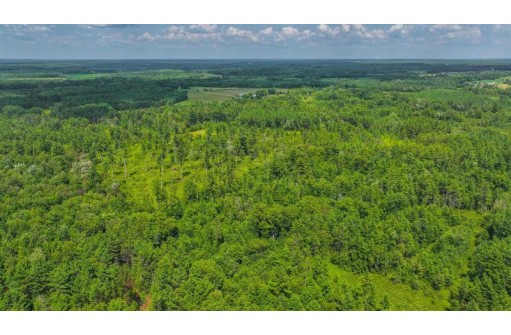 81 ACRES Birch Drive, Mosinee, WI 54455