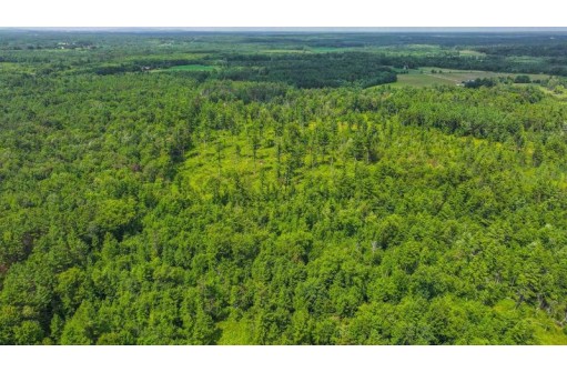 81 ACRES Birch Drive, Mosinee, WI 54455