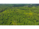 81 ACRES Birch Drive, Mosinee, WI 54455