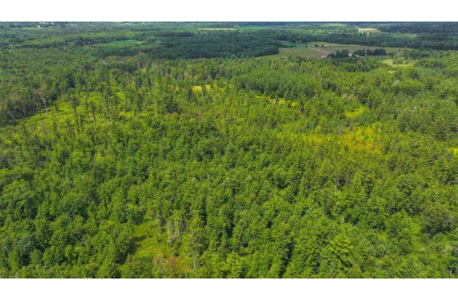 81 ACRES Birch Drive, Mosinee, WI 54455