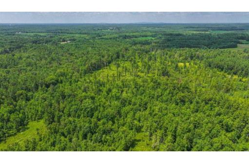 81 ACRES Birch Drive, Mosinee, WI 54455