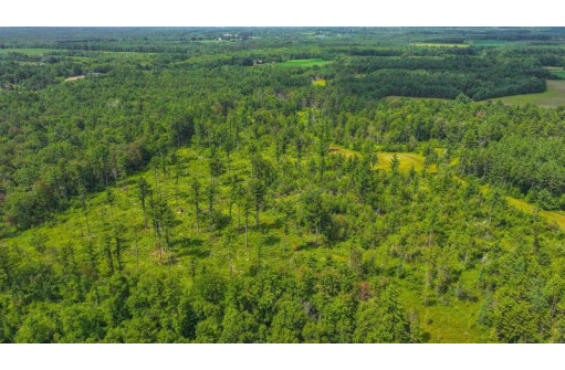 81 ACRES Birch Drive, Mosinee, WI 54455