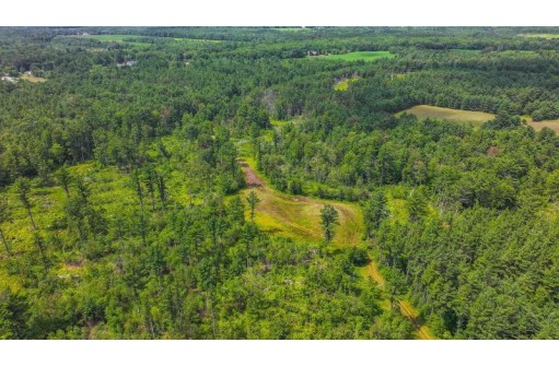 81 ACRES Birch Drive, Mosinee, WI 54455