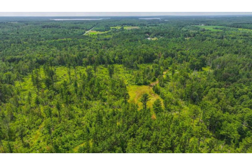 81 ACRES Birch Drive, Mosinee, WI 54455