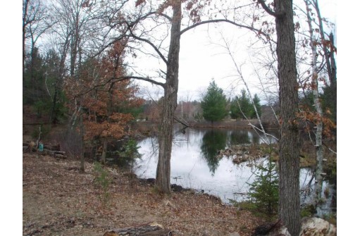 LOT 15 Wood Duck Trail, Wisconsin Rapids, WI 54494