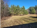 N9359 Forest Road, Iola, WI 54945