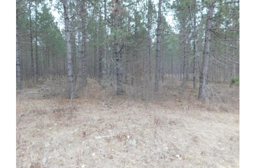 LOT 1 Brown Creek Road, Tomahawk, WI 54487