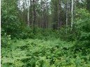 LOT 1 Brown Creek Road, Tomahawk, WI 54487