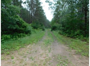 LOT 3 Brown Creek Road Tomahawk, WI 54487