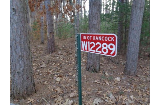 W12289 Deer Path, Hancock, WI 54943