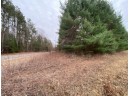 5.6 MOL ACRES Wood Lane, Mosinee, WI 54455