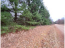 5.6 MOL ACRES Wood Lane, Mosinee, WI 54455