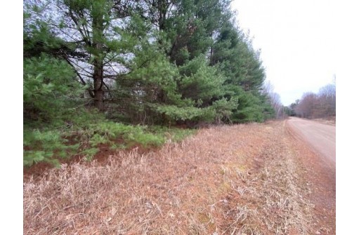 5.6 MOL ACRES Wood Lane, Mosinee, WI 54455