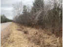 5.6 MOL ACRES Wood Lane, Mosinee, WI 54455