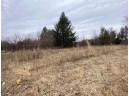 5.6 MOL ACRES Wood Lane, Mosinee, WI 54455