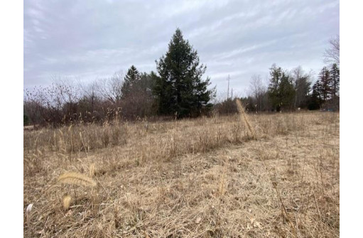 5.6 MOL ACRES Wood Lane, Mosinee, WI 54455