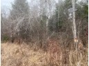 5.6 MOL ACRES Wood Lane, Mosinee, WI 54455