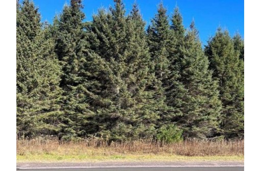 2.19 ACRES Riverview Drive, Stevens Point, WI 54481