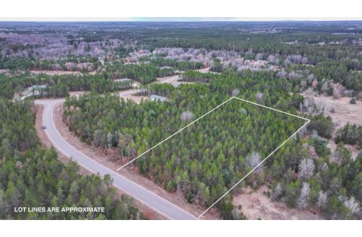 LOT # 33 Red Tail Hawk Drive, Stevens Point, WI 54482