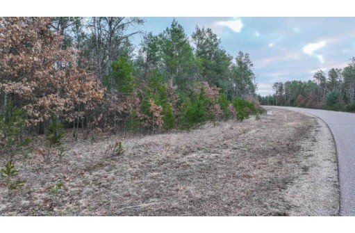 LOT # 33 Red Tail Hawk Drive, Stevens Point, WI 54482