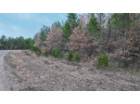 LOT # 33 Red Tail Hawk Drive, Stevens Point, WI 54482