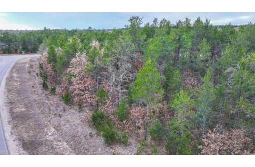 LOT # 33 Red Tail Hawk Drive, Stevens Point, WI 54482