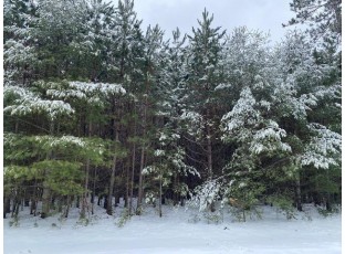 LOT 27 Doris Drive Woodruff, WI 54568