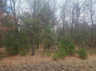 LOT 19 Oakbury Drive PARCEL 0704637