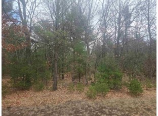 LOT 19 Oakbury Drive PARCEL 0704637 Wisconsin Rapids, WI 54494