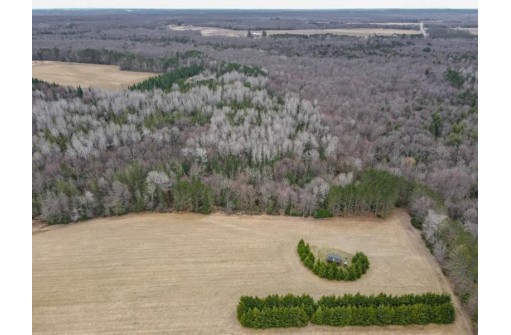 46 ACRES MOL Eau Claire River Road, Aniwa, WI 54408