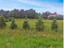 LOT 25 Verde Villa Drive, Hatley, WI 54440