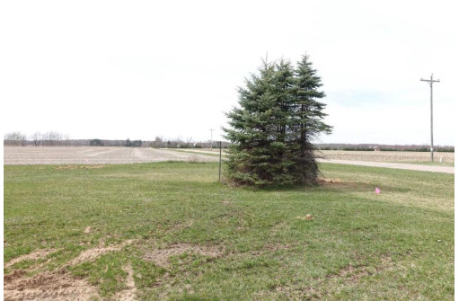 179223 Little Wolf Road, Wittenberg, WI 54499