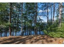 8221 Trails End Road, Land O Lakes, WI 54540