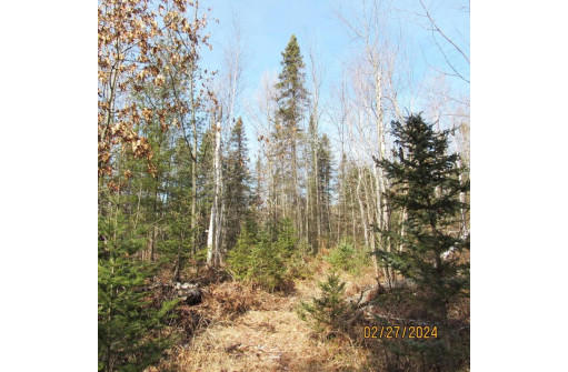 25.8 ACRES Adams Lane, Tomahawk, WI 54487