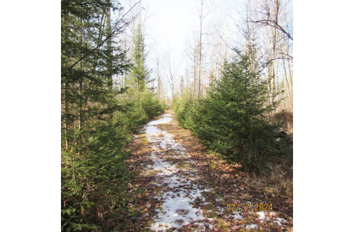 25.8 ACRES Adams Lane, Tomahawk, WI 54487