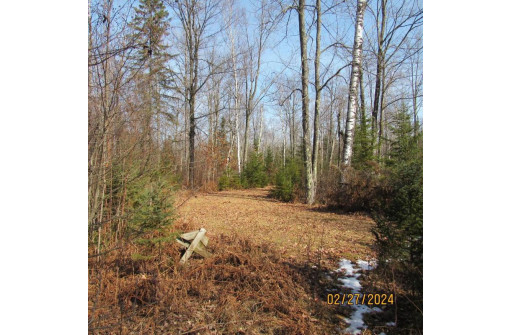 25.8 ACRES Adams Lane, Tomahawk, WI 54487