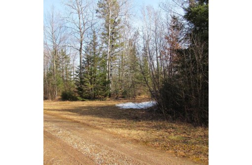 25.8 ACRES Adams Lane, Tomahawk, WI 54487