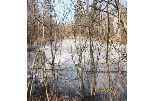 25.8 ACRES Adams Lane, Tomahawk, WI 54487