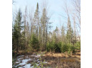 25.8 ACRES Adams Lane, Tomahawk, WI 54487