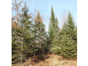 25.8 ACRES Adams Lane, Tomahawk, WI 54487